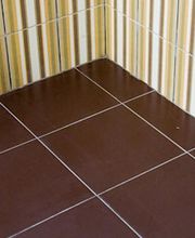 Palmeira Victor image 3