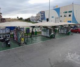 bp imagen 2
