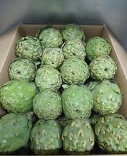 MES FRESC QUE MAI S.L. imagen 5