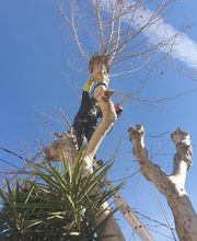 Sannier David Espaces Verts image 7