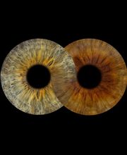 You & Eye Photo Montreux Bild 14