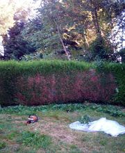 Multi Services Occitanie image 18