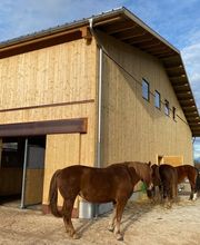 Planteams.ch AG Bild 3