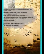 raul martin felix imagen 11