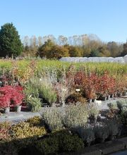 David Rioland Paysage image 4