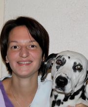 Clinique vétérinaire PK3 image 19