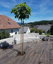 Nyhof Gartenbau AG Bild 8