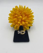 Miami Twice image 10