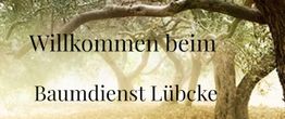 Baumdienst Lübcke