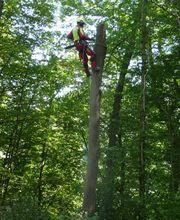 Gebrüder Straumann AG Bild 2