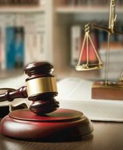 Barbara Bergounioux image 5