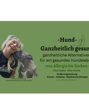 Kräuterpfoten Bild 6