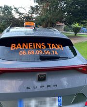 Baneins Taxi image 1