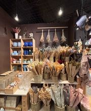 Søstrene Grene billede 4