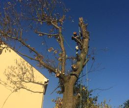 Fichot Paysage image 8