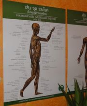 Traditionelle Thaimassage am Schillerplatz Bild 2