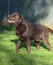 Tanja Wiedenmann Bild 16