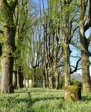 Baummensch GmbH Bild 8