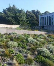 Gartenbau Gerth GmbH Bild 11