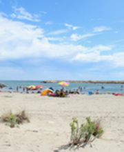 Camping La Brise de Camargue image 4