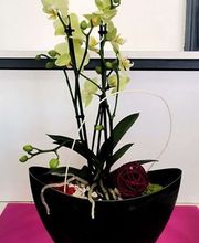 Romilly fleurs image 1