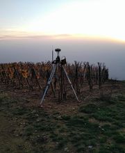 Alice Degueurce image 4