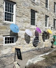 Toad Hall Flowers image 3