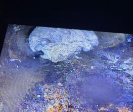 EPDR image 8
