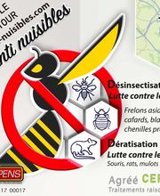 Sebastien Anti Nuisibles image 2