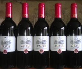 LEXUS_CRIANZA_RIOJA_2014.jpg