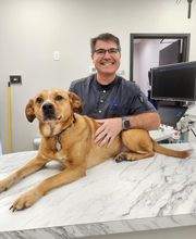 River Oak Vet image 11