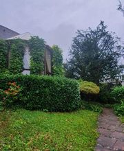 Garten- und Landschaftspflege Ulmann Bild 1