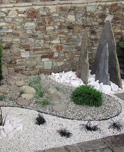 Viveiros Adoa, S.L. (Tameiga) imagen 19