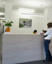 Kleintier-Spezialisten Klinik ARC Bild 1