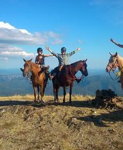 Cheval Vert image 4