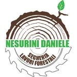 Nesurini Daniele - Lavori Forestali e Segheria