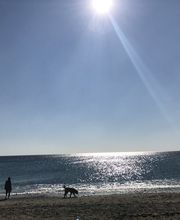 Ristorante Mare Nostrum immagine 8