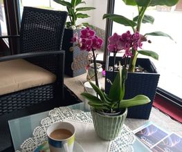 Samran Thai-Massage Bild 3