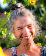 ART OF HEALING Bild 6