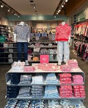 OKAIDI NEUFCHATEL EN BRAY image 17