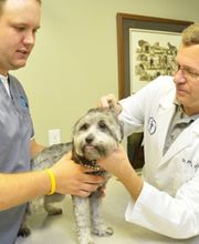 Indian Hills Animal Clinic image 1