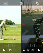 Coach Bear Golf image 3