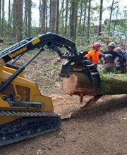 Kangourou Arboricole Élagage image 1