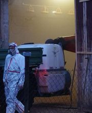 Enviro Pest Control GmbH Bild 6