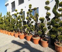 BEDRI GMBH Bild 4