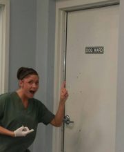 Gentle Doctor Animal Hospital image 17