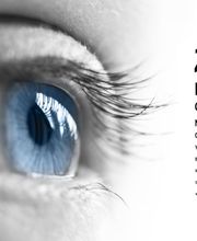 Bull'Optic SA Bild 10