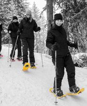 Ecole Suisse de Ski Crans-Montana Bild 3