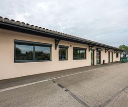 AGT Salel image 7