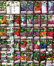 Bricomarché Maiche image 11